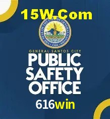 Platform Technology 616win